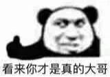聊天斗图别输！这套熊猫头表情包合集收好