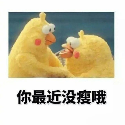鹦鹉兄弟版“偷偷告诉你”表情包来啦