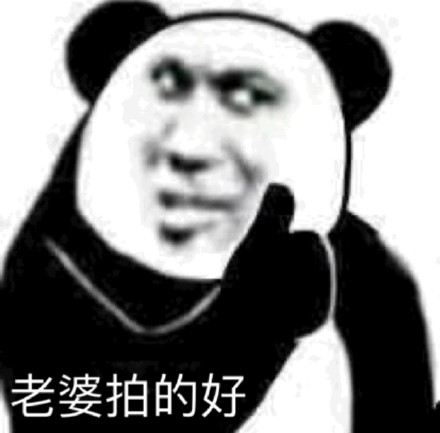 超实用！熊猫头拍一拍斗图表情包合集
