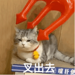 孙一宁和王思聪聊天表情包合集