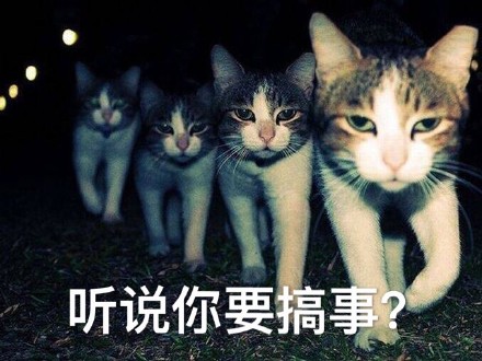 喵星人搞事表情包合集！怼人斗图超好用