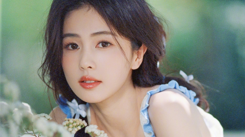 白鹿清新风电脑壁纸上新 多款高清尺寸可选