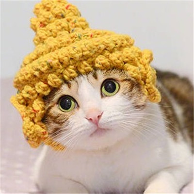 猫咪情侣头像一左一右！20张高清可爱的配对头像合集