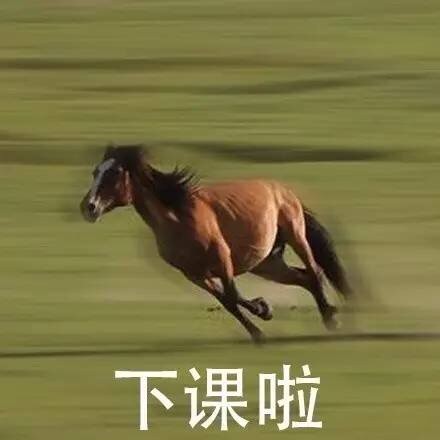 “溜了溜了”表情包合集来啦