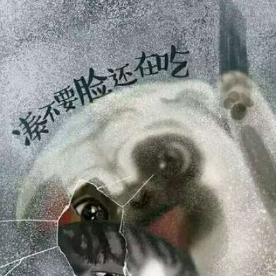 找吾皇巴扎黑情头的看过来！22张高清网红款情侣头像合集