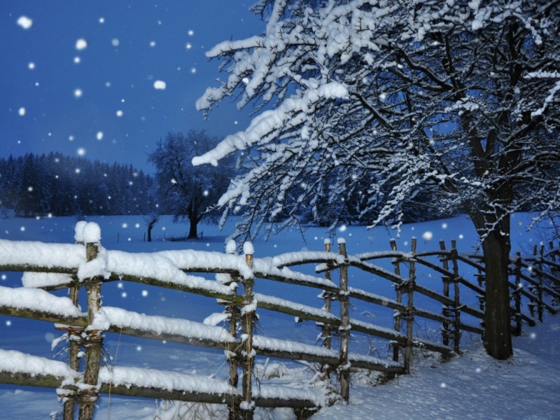 冬日飘雪围栏树景电脑壁纸推荐