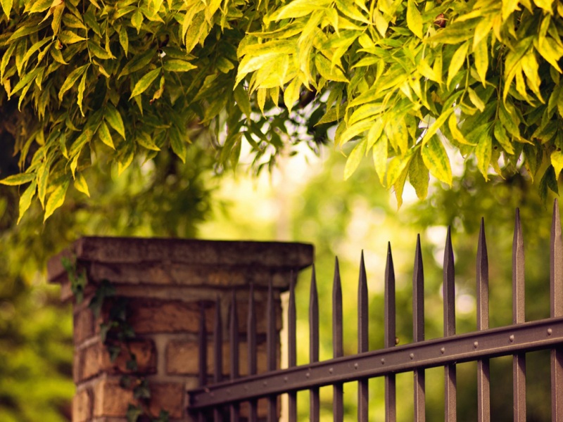 带金属围栏和城墙的秋日树叶风景壁纸合集