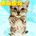 妹子斗图必备！这套软萌小动物表情包赶紧收好