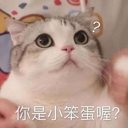 1月17日斗图表情包合集整理