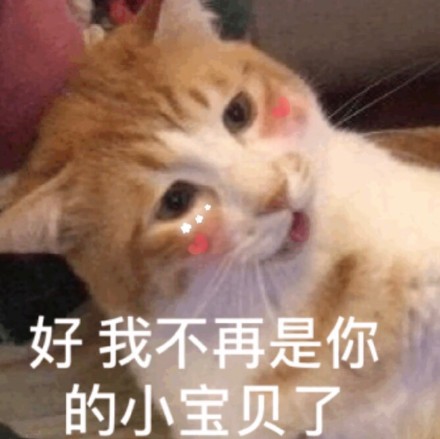猫咪表情包合集来啦！