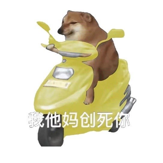 骑车狂飙的沙雕摩的狗表情包火了
