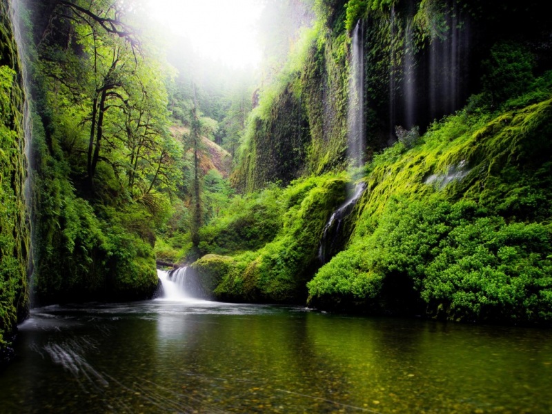 俄勒冈河畔森林瀑布 高清自然风景壁纸合集