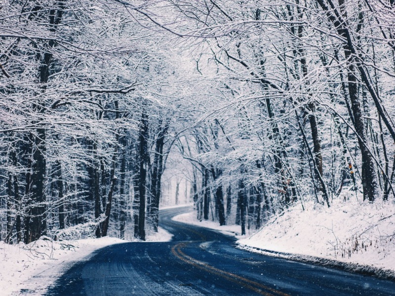 冬日雪后森林道路 适配电脑的动漫风景壁纸