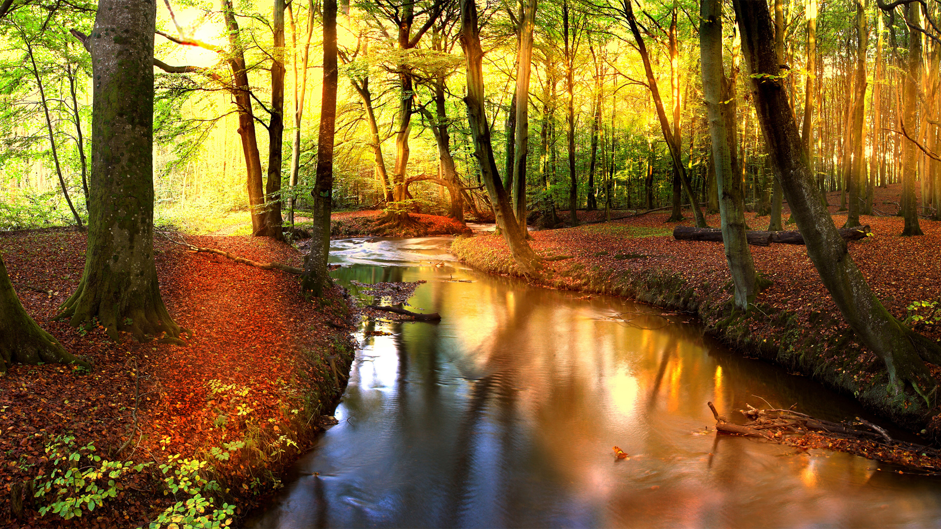 秋日森林溪流风景高清壁纸合集