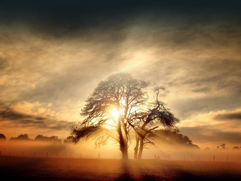 多款适配电脑的落日风景动漫风桌面壁纸
