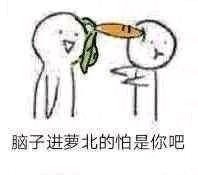 吵架怼人超好用！“你脑子进萝北了吗”表情包合集