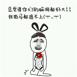 专为斗图准备的表情包合集