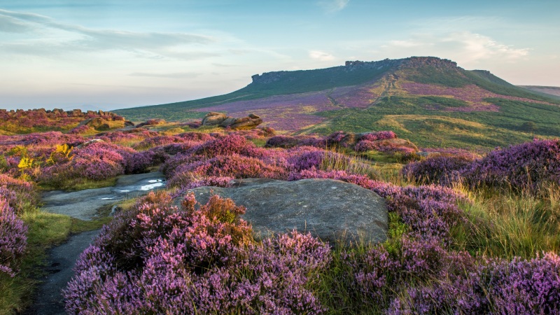 山顶鲜花天空风景 多款尺寸电脑桌面壁纸来啦