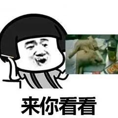 套路表情包：我有你和别人睡觉的照片！