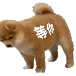 聊天斗图必备！站岗小狗表情包合集整理好了