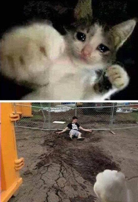 12月29日斗图表情包精选合集