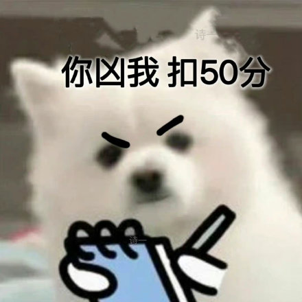 拿捏情侣日常的扣分小狗表情包火了