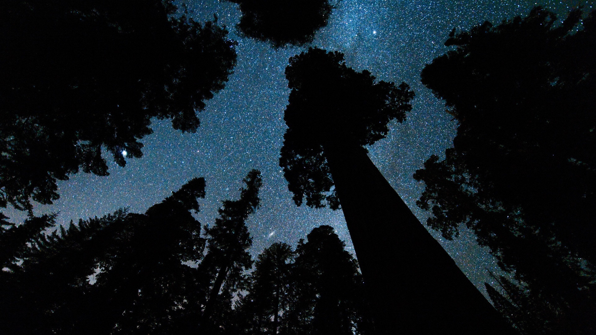 这款蓝天白云树木壁纸 适配多种电脑屏幕尺寸