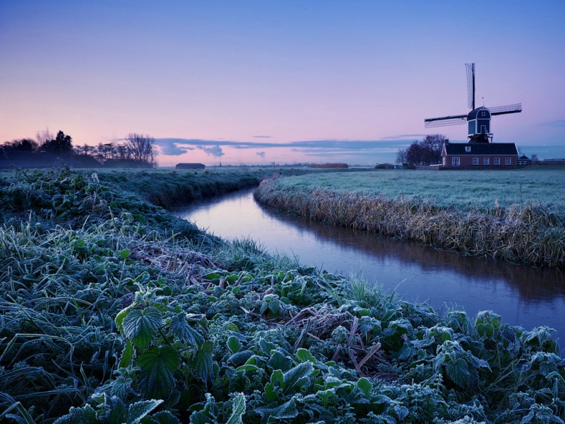 冬日荷兰清晨风车牧场壁纸