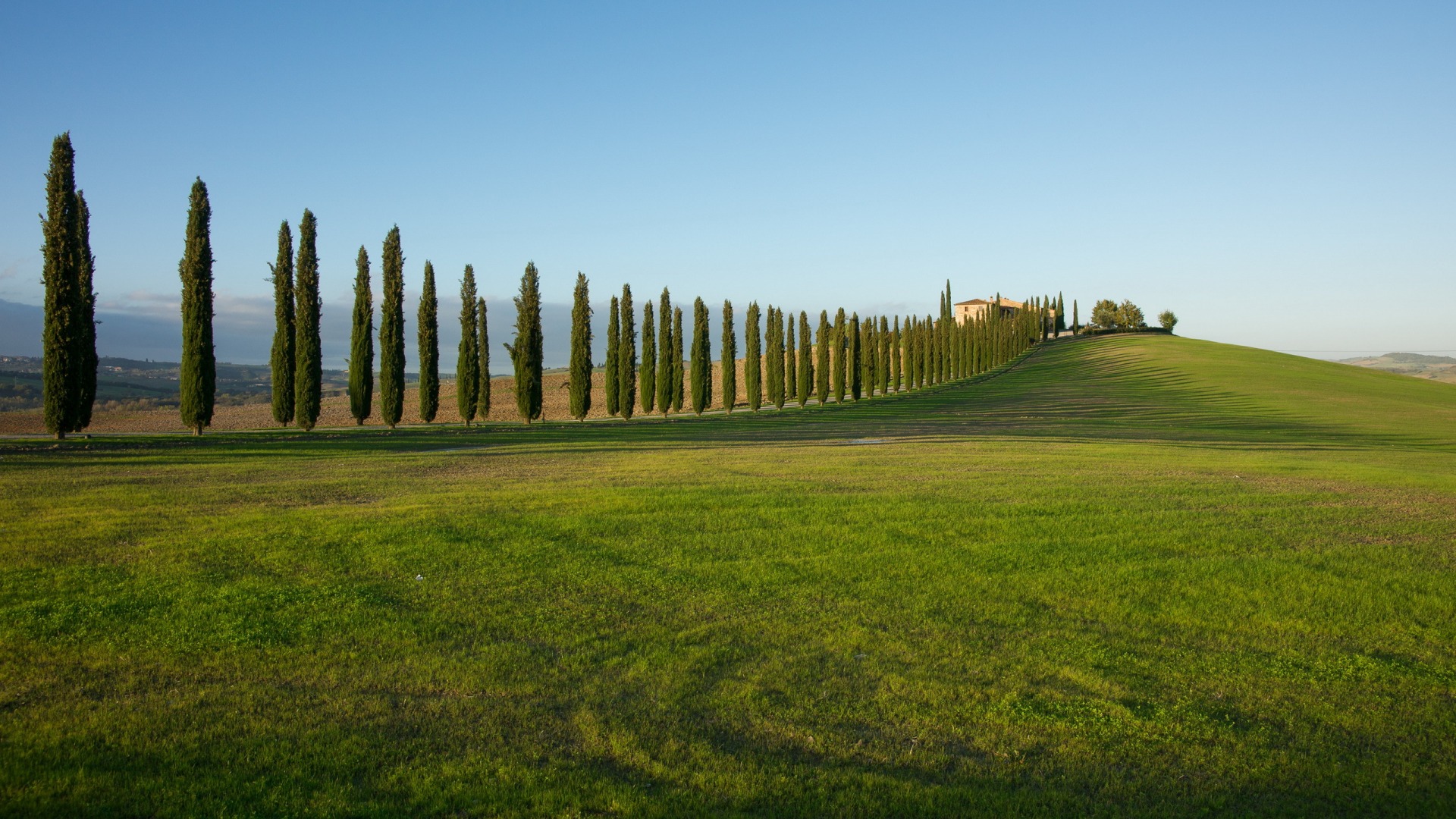 清新治愈的绿树草地风景电脑动漫壁纸