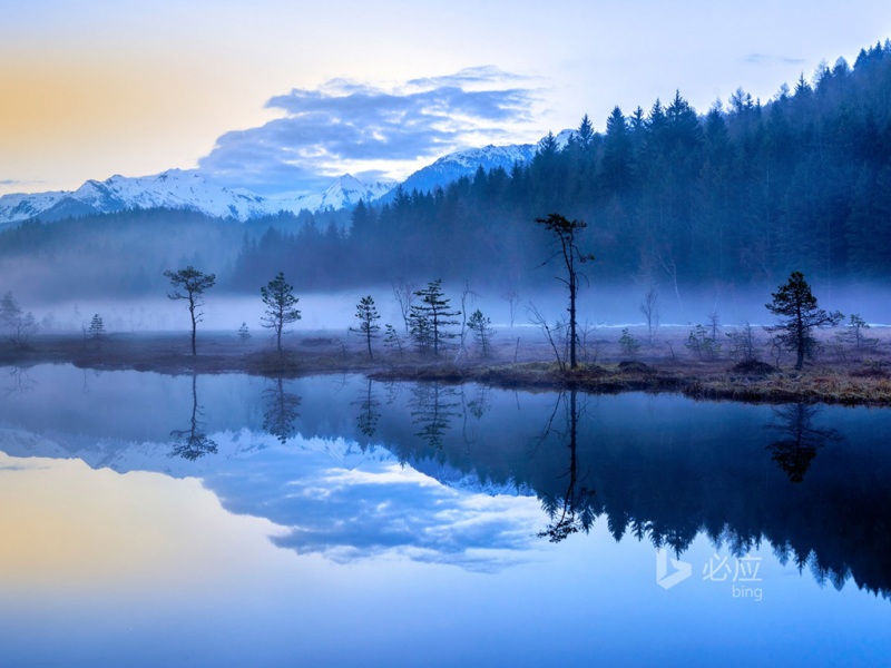 意大利天然沼泽地绝美风景 可以当桌面的高清壁纸来了