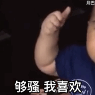 聊天斗图必备！实用GIF动态表情包合集