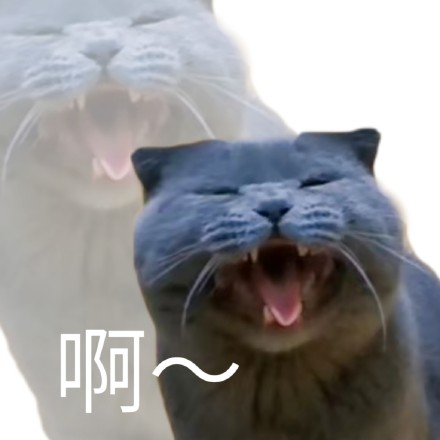 好用的奇怪猫猫狗狗斗图表情包合集