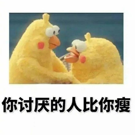 鹦鹉兄弟版“偷偷告诉你”表情包来啦