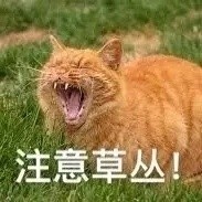 开语音打王者时，队友的这些喊话你肯定听过