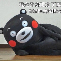 熊本熊恋爱聊天表情包合集