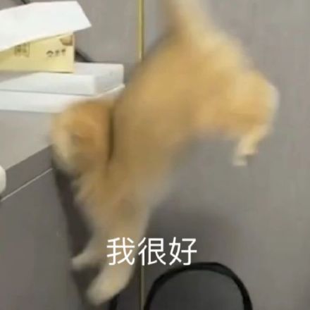 5月14日斗图表情包合集