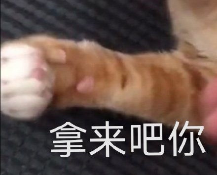 火遍全网的“拿来吧你”表情包合集来了