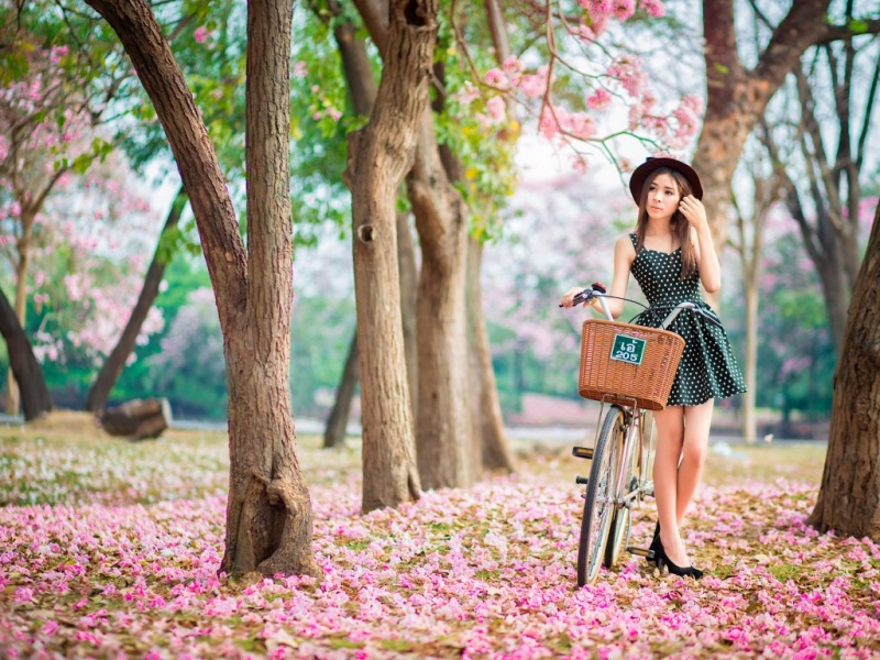 春日粉花园单车少女壁纸