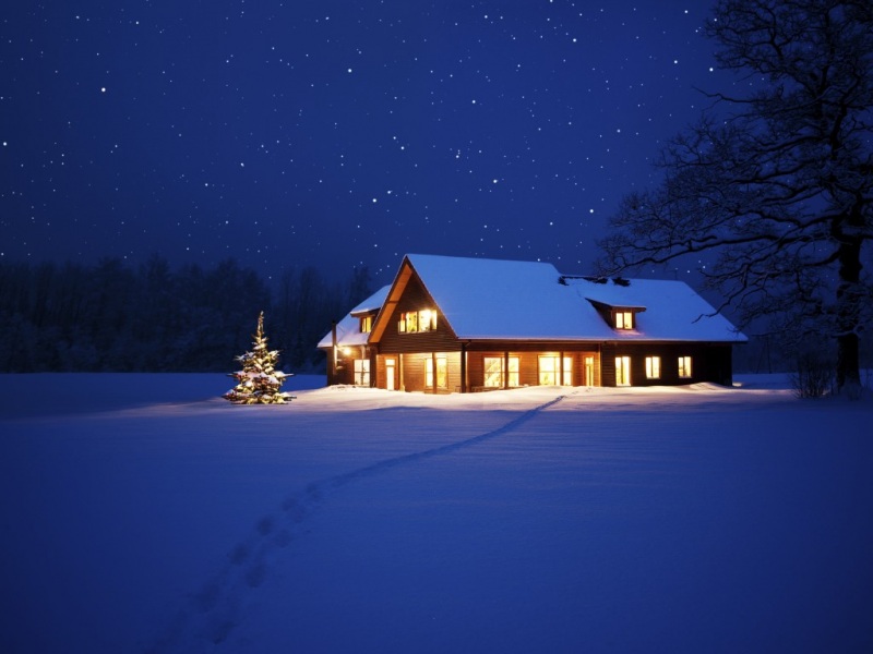 圣诞季夜景雪树灯壁纸上新 适配多尺寸电脑桌面