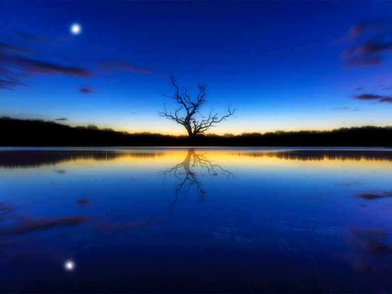 这套蓝调风景电脑壁纸，藏着夕阳月亮和独树映河的治愈感