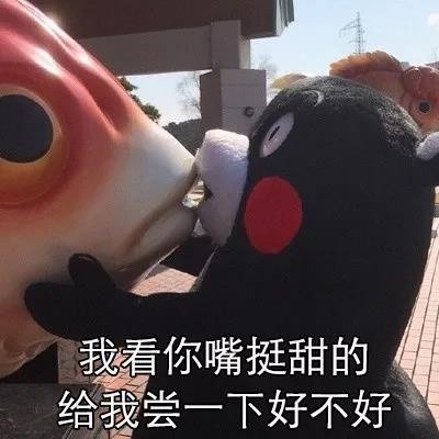 这套尬聊表情包绝了，之前见过的都不算啥
