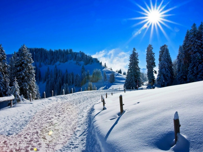 冬日雪山林中路！这套电脑动漫壁纸氛围感拉满