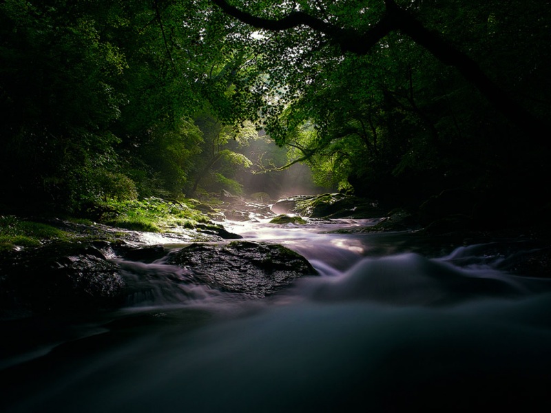带小溪流水声的电脑动漫桌面壁纸来啦