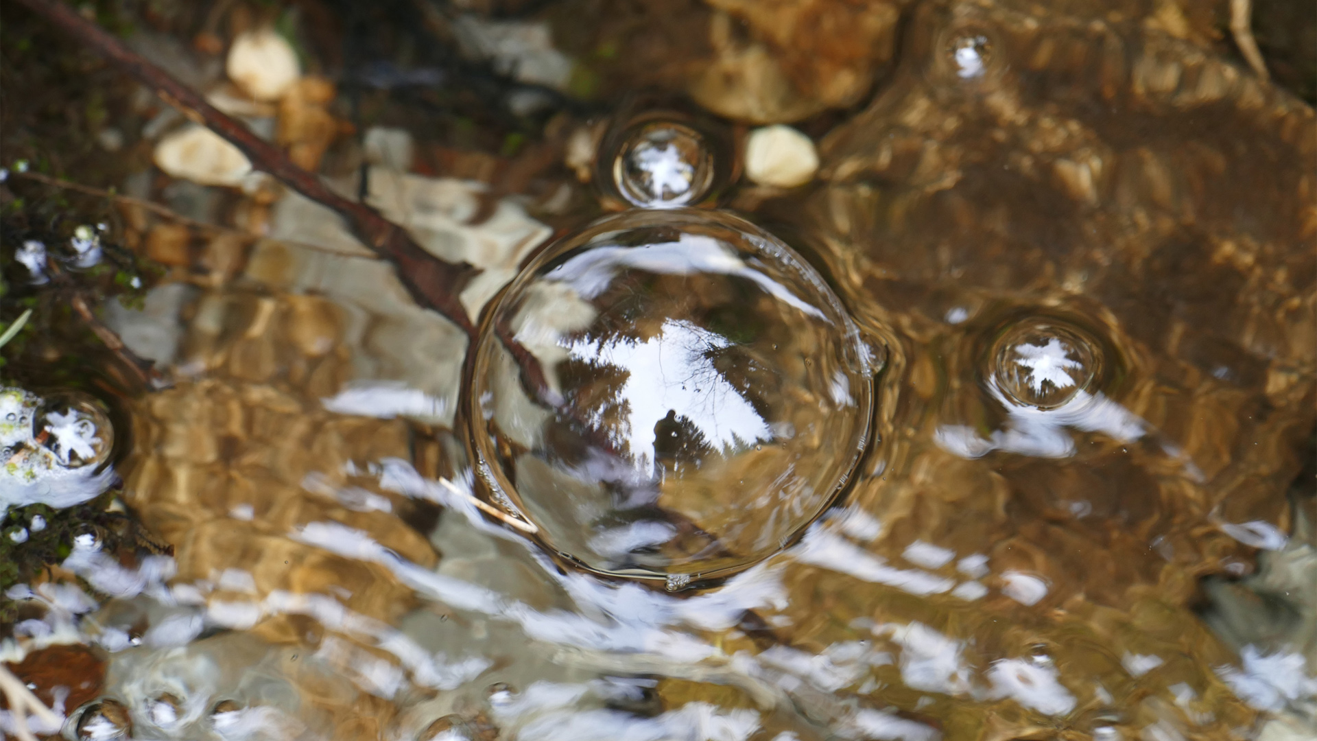 琥珀电脑桌面壁纸推荐 多款高清尺寸可选