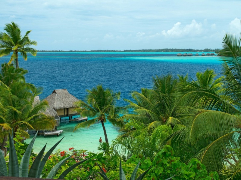 海边别墅棕榈海景 电脑桌面动漫风景壁纸
