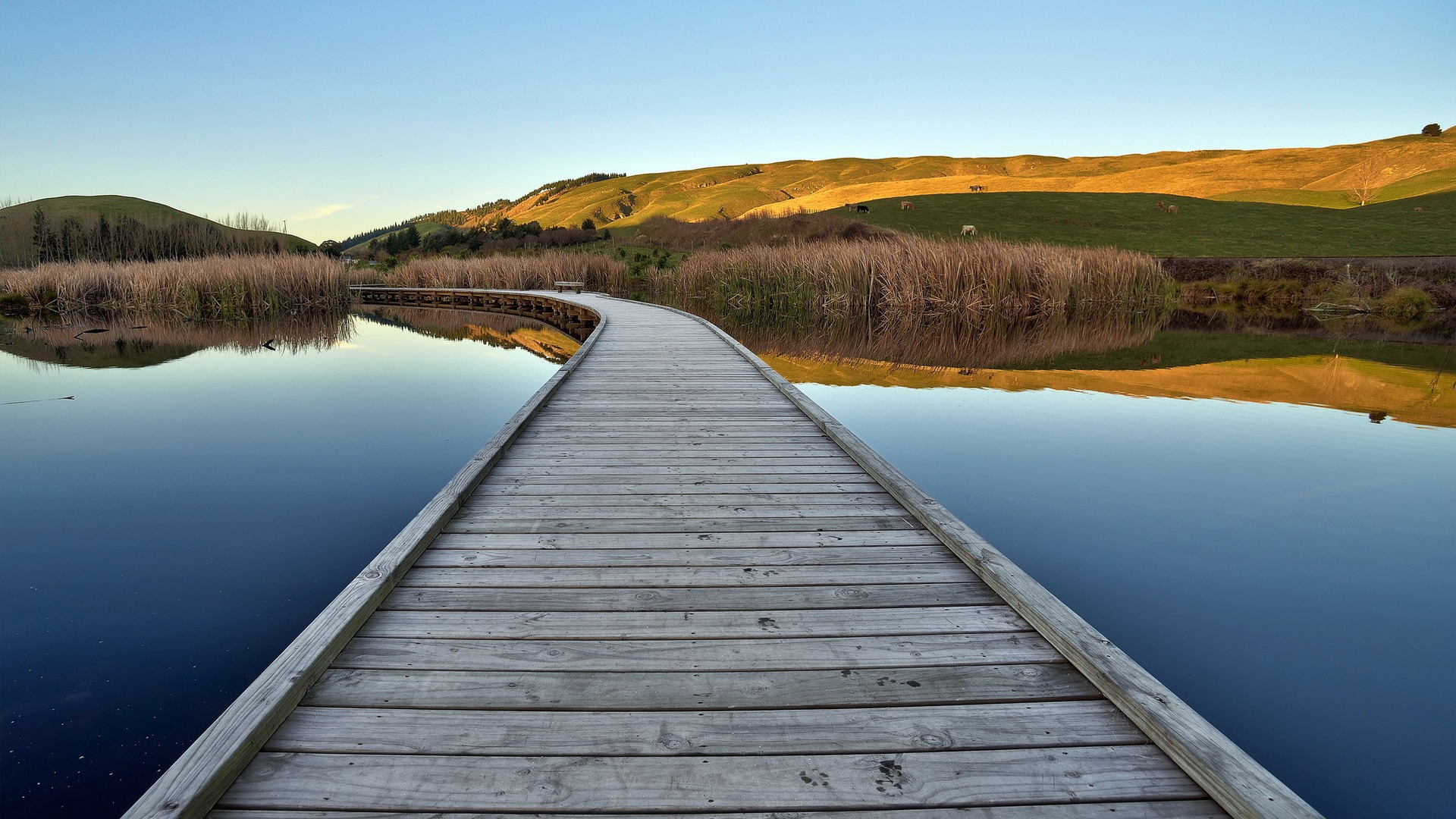 湖边草原牛羊成群 这套治愈系风景壁纸太绝了