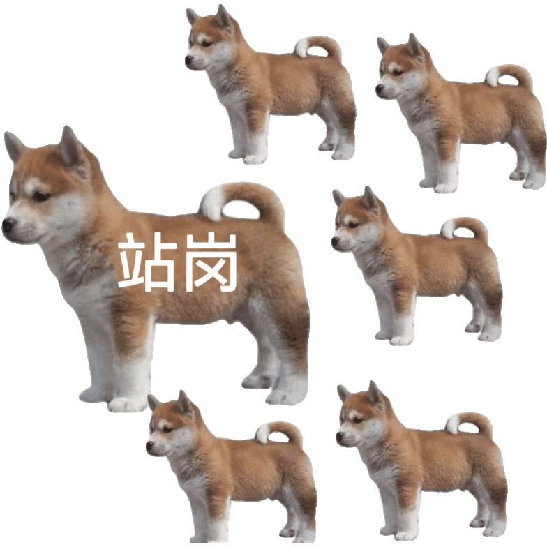 聊天必备！站岗小狗表情包合集来啦