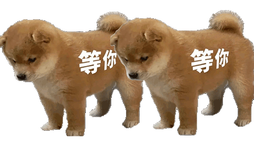 聊天斗图必备！站岗小狗表情包合集整理好了