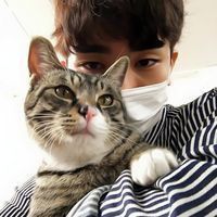 42张抱猫情侣头像来啦！一男一女超有爱超好看