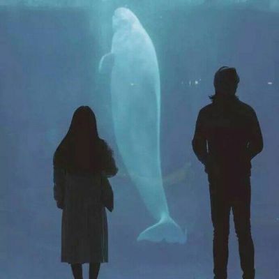 14张氛围感拉满的唯美意境情侣头像